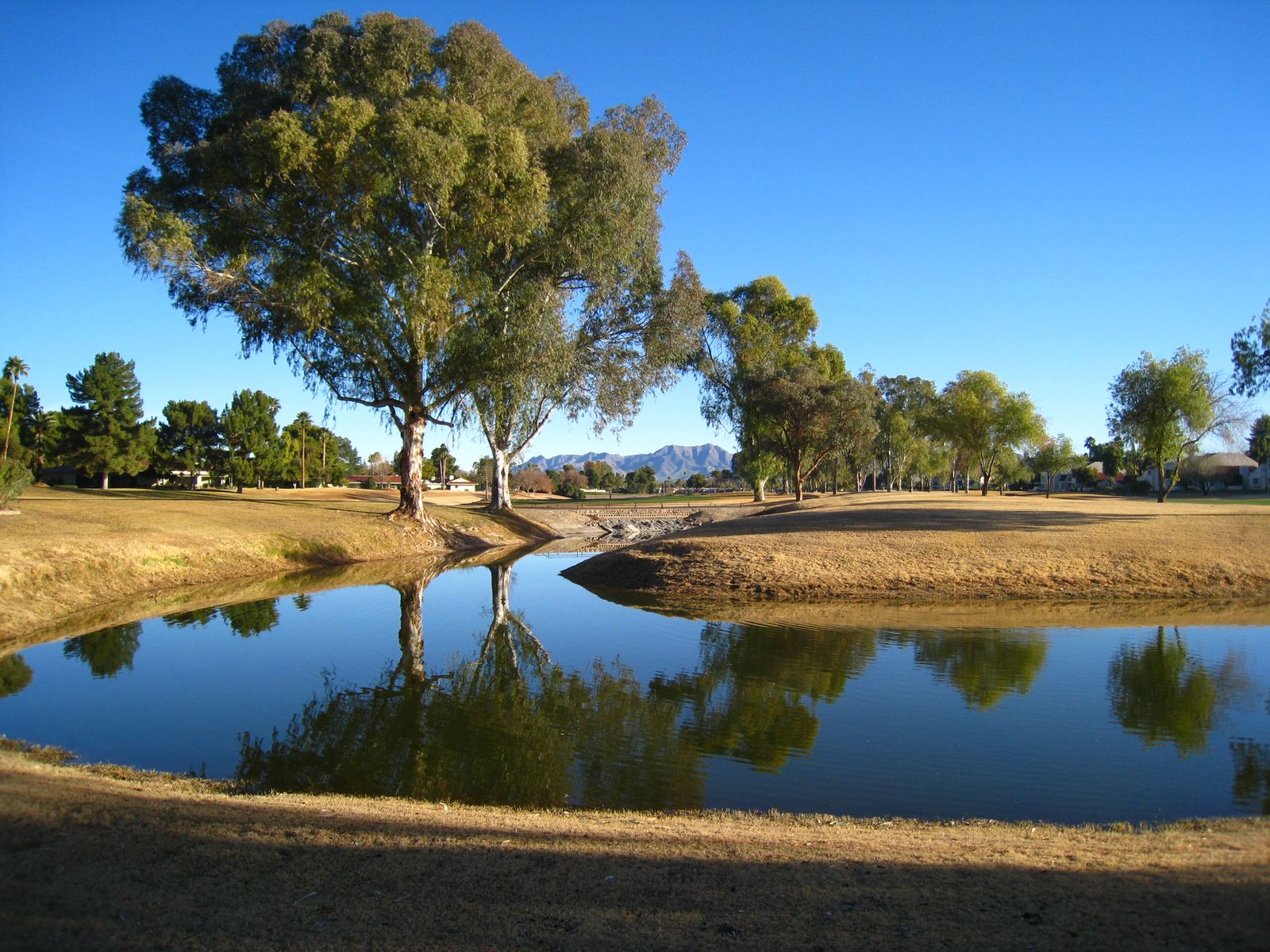 Community Profile for Scottsdale, AZ